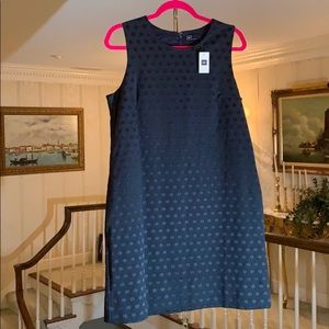 NWT Gap A-Line Shift Dress Black and Blue Dot SZ L